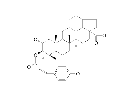 3-BETA-O-CIS-PARA-COUMAROYL-ALIPHITOLC_ACID