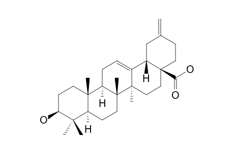 3-BETA-HYDROXY-30-NOR-OLEAN-12,20(29)-DIEN-28-OIC-ACID