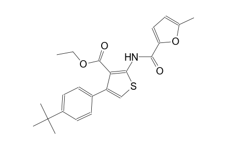 ethyl 4-(4-tert-butylphenyl)-2-[(5-methyl-2-furoyl)amino]-3-thiophenecarboxylate