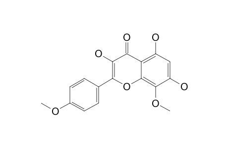 3,5,7-TRIHYDROXY-8,4'-DIMETHOXYFLAVONE