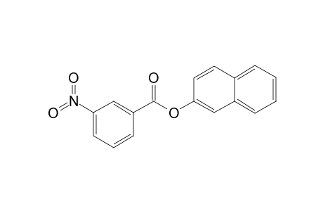 2-Naphthyl 3-nitrobenzoate