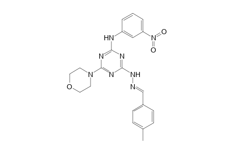 2-Morpholino-4-(3-nitrophenylamino)-6-(4-methylbenzylidenehydrazino)-1,