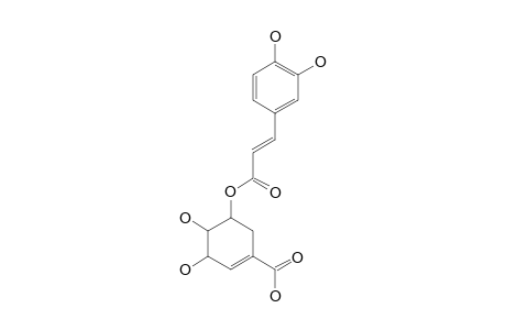 5-O-CAFFEOYL-SHIKIMIC-ACID