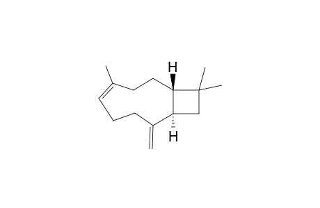 Z-Caryophyllene