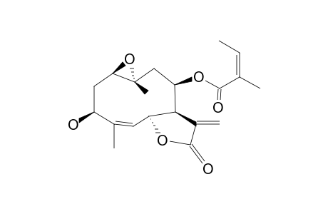 LEPTOCARPIN