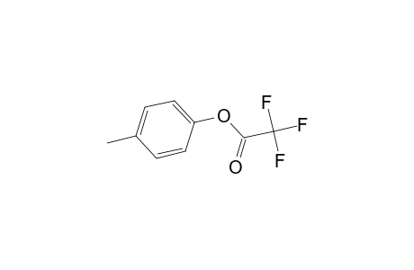 4-Methylphenyl trifluoroacetate