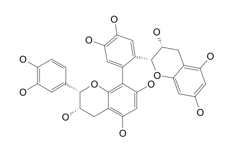 EPICATECHIN-(6'->8)-EPICATECHIN