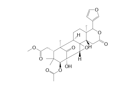 Ruagenin C