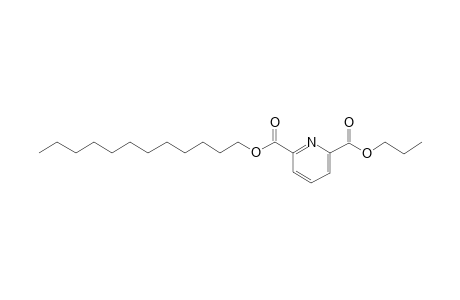 2,6-Pyridinedicarboxylic acid, dodecyl propyl ester