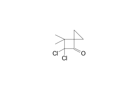 5,5-Dichloro-6,6-dimethylspiro[2.3]hexan-4-one