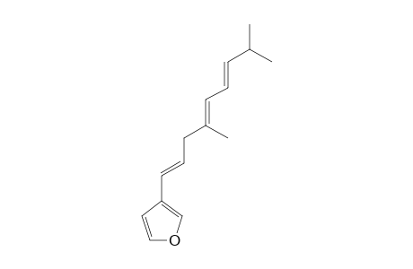 DELICULATAFURAN