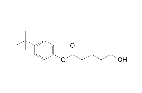 Pentanoic acid, 5-hydroxy-, p-t-butylphenyl ester