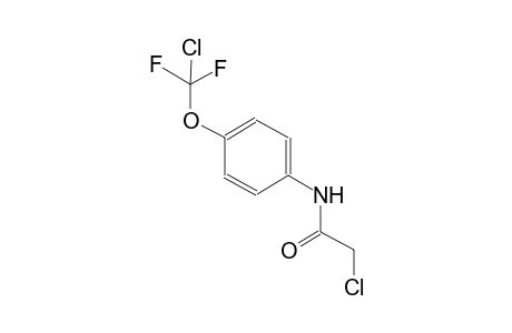 Acetamide, 2-chloro-N-(4-chlorodifluoromethoxyphenyl)-