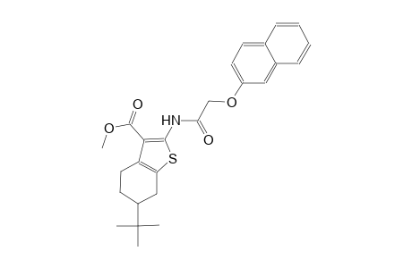 methyl 6-tert-butyl-2-{[(2-naphthyloxy)acetyl]amino}-4,5,6,7-tetrahydro-1-benzothiophene-3-carboxylate