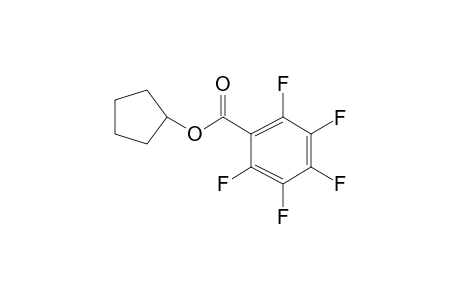 Pentafluorobenzoic acid, cyclopentyl ester