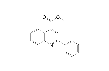 2-phenyl-4-quinolinecarboxylic acid, methyl ester