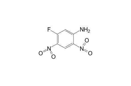 2,4-Dinitro-5-fluoroaniline