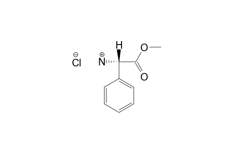 METHYL-PHENYLGLYCINE-HYDROCHLORIDE