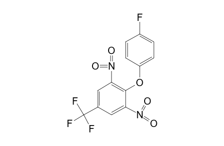 2,6-Dinitro-alpha,alpha,alpha-trifluoro-p-tolyl p-fluorophneyl ether