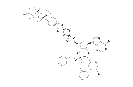 3'-[[BIS-(BENZYLOXY)-PHOSPHINYL]-OXY]-ADENOSINE-5'-DIPHOSPHO-(3-ESTRONE)