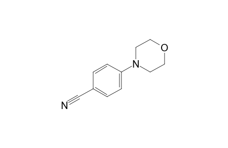 4-(4-Morpholinyl)benzonitrile