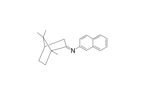2-Naphthyl-(1,7,7-trimethyl-bicyclo<2.2.1>hept-2-yliden)amin