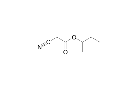 cyanoacetic acid, sec-butyl ester