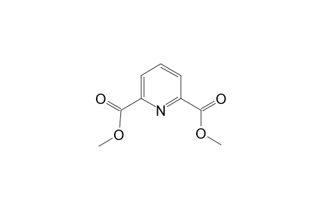 2,6-Pyridinedicarboxylic acid, dimethyl ester