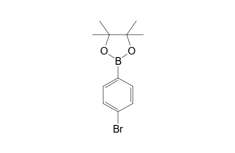 2-(4-Bromophenyl)-4,4,5,5-tetramethyl-1,3,2-dioxaborolane