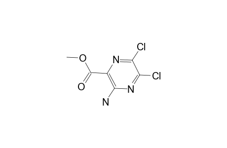 3-amino-5,6-dichloro-pyrazinic acid methyl ester