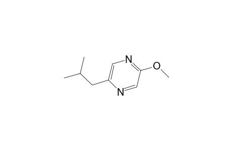 2-isobutyl-5-methoxy-pyrazine