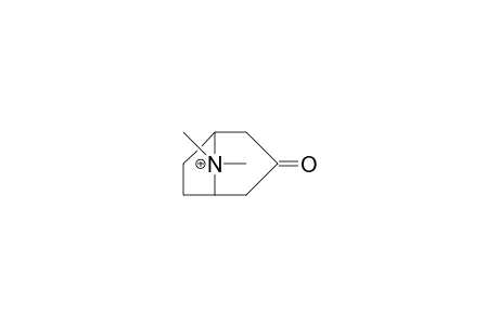 N-Methyl-tropinone-3 cation