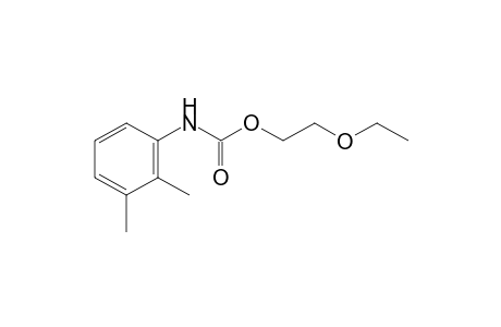 2,3-dimethylcarbanilic acid, 2-ethoxyethyl ester