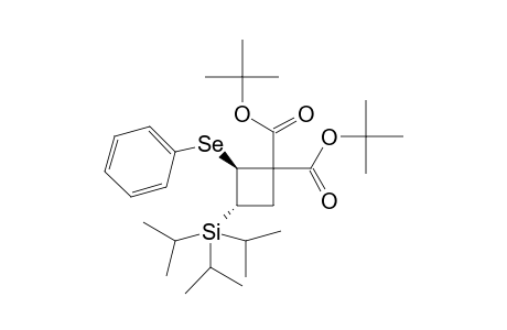 Di-tert-butyl 2-(phenylseleno)-3-(triisopropylsilyl)cyclobutane-1,1-dicarboxylate