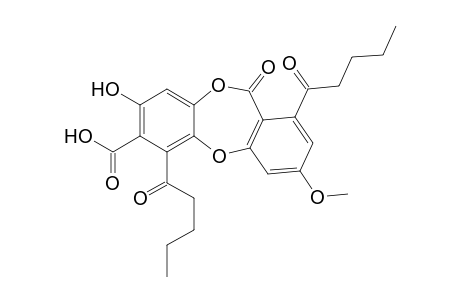 Oxolobaric acid