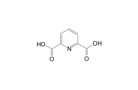 2,6-Pyridine dicarboxylic acid