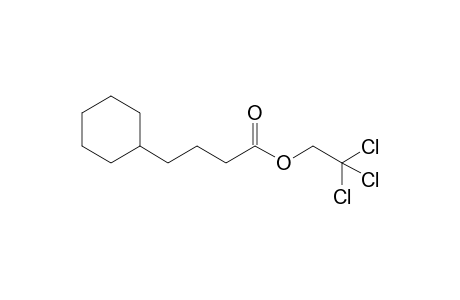 2,2,2-Trichloroethyl 4-cyclohexylbutanoate