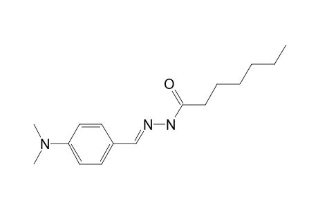 Heptanehydrazide, N2-(4-dimethylaminobenzylideno)-