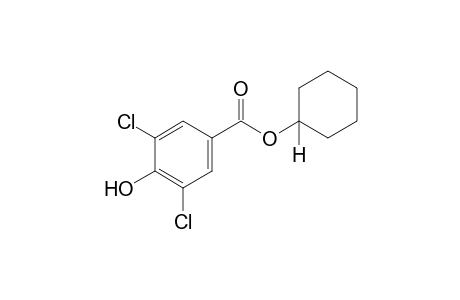 3,5-dichloro-4-hydroxybenzoic acid, cyclohexyl ester