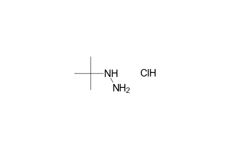 tert-butylhydrazine, monohydrochloride