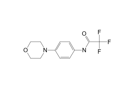 Acetamide, 2,2,2-trifluoro-N-[4-(4-morpholyl)phenyl]-