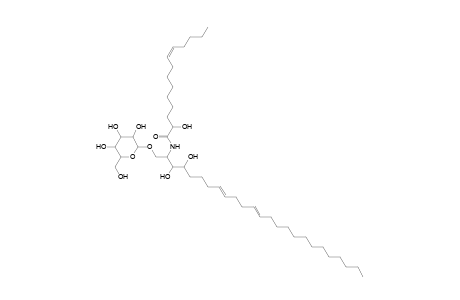 HexCer 25:2;3O/14:1;(2OH)