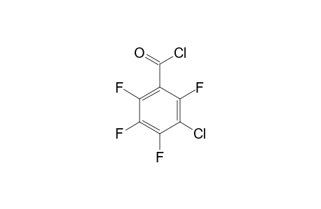 3-Chloro-2,4,5,6-tetrafluorobenzoyl chloride