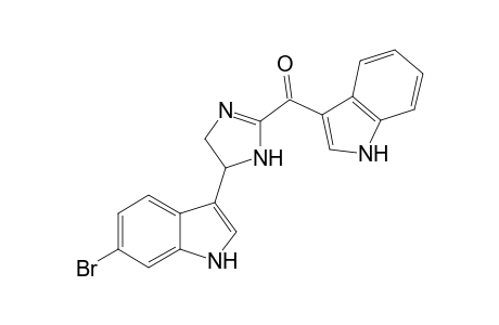 SPONGOTINE_A