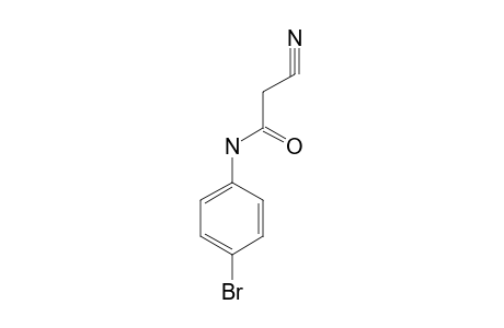 4'-bromo-2-cyanoacetanilide
