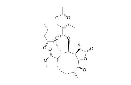 SESQUITERPENE TR-IB