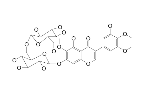 Germanasim C