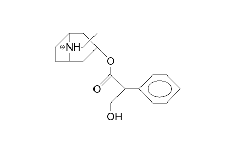 N-Ethyl-noratropinium cation (anti-ethyl)