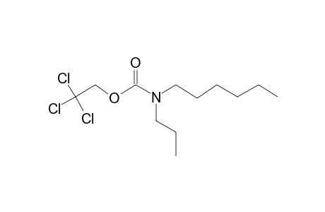 Carbonic acid, monoamide, N-propyl-N-hexyl-, 2,2,2-trichloroethyl ester