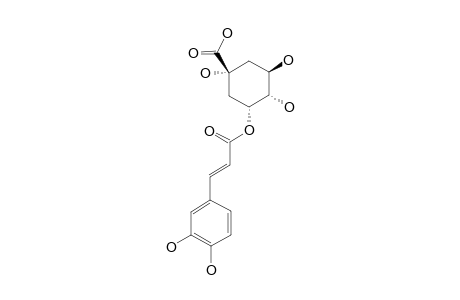 3-O-CAFFEOYLQUINICO-ACID